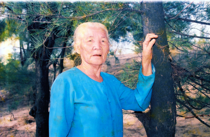 Mẹ Phạm Thị Nghèng bên rừng phi lao được trồng từ năm 1984. Ảnh: N.Tâm.