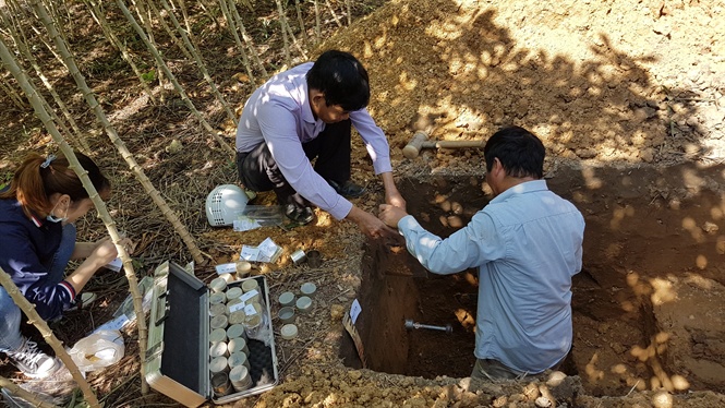 Các chuyên gia Viện Thổ nhưỡng Nông hóa đang lấy mẫu đất phân tích. Ảnh: SFRI.