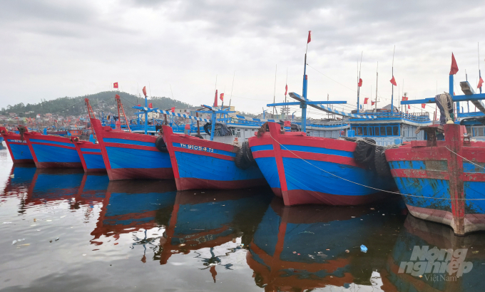 Phân nửa tàu thuyền tại phường Hải Bình phải nằm bờ. Ảnh: Võ Dũng.