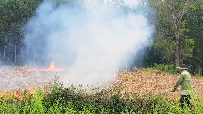 Việc đốt thực bì bên gần rừng rất dễ xảy ra cháy rừng trong mùa khô. Ảnh: KS.