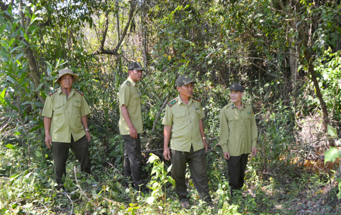 Hiện các đơn vị quản lý, bảo vệ rừng trên địa bàn tỉnh Phú Yên nỗ lực phòng chống cháy rừng. Ảnh: CN.
