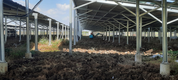 Trang trại điện MTAMN tại xã Hbông (huyện Chư Sê, tỉnh Gia Lai) không thực hiện chăn nuôi.