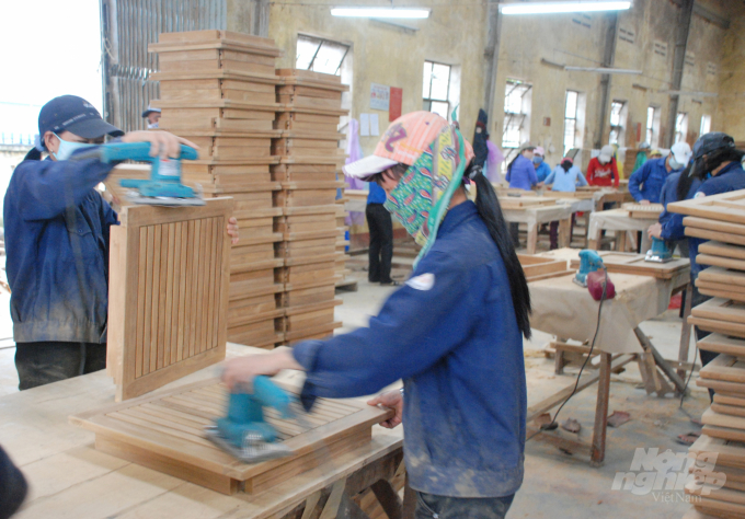 Ngành gỗ Việt Nam đang đối mặt với những cáo buộc của Hoa Kỳ liên quan đến nguồn gốc gỗ chế biến. Ảnh: Vũ Đình Thung
