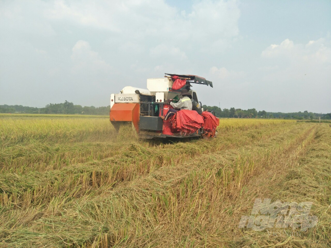 Trên 90% người trồng lúa Tây Ninh đã cơ giới hóa vào sản xuất. Ảnh: Trần Trung.