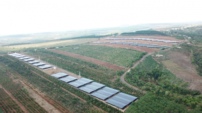 Điện mặt trời chiếm toàn bộ khoảng không gian đất nông nghiệp.