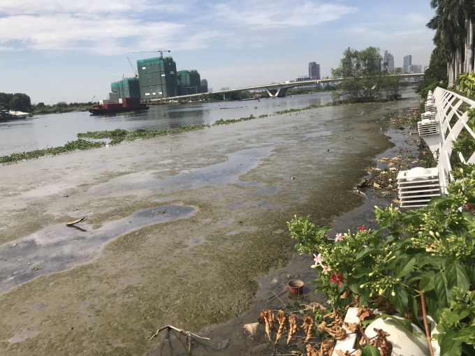 Sông Sài Gòn đoạn nằm sát dọc theo hệ thống xử lý thải của KDC Saigon Pearl chứa đầy rác, nước đặc sệt, bốc mùi nồng nặc. Liệu có phải do nước thải từ KDC Saigon Pearl? Ảnh: Phúc Lập.