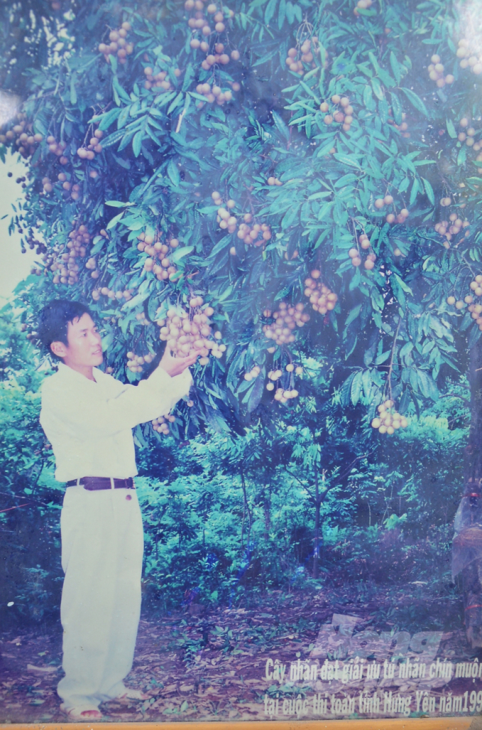 Anh Miền bên cây nhãn đạt giải ưu tú năm 1999. Ảnh: Gia đình cung cấp.
