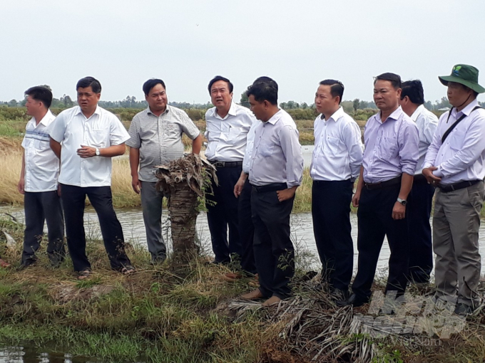 Thứ trưởng Bộ NN-PTNT Trần Thanh Nam (thứ 2 từ trái sang) dẫn đầu đoàn công tác khảo sát mô hình sản xuất tôm - lúa theo hướng hữu cơ trên địa bàn tỉnh Kiên Giang. Ảnh: Trung Chánh.
