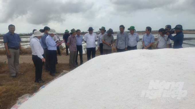 Thứ trưởng Trần Thanh Nam kiểm tra tình hình sản xuất muối trên địa bàn xã Điền Hải, huyện Đông Hải (Bạc Liêu) Ảnh: Trọng Linh.