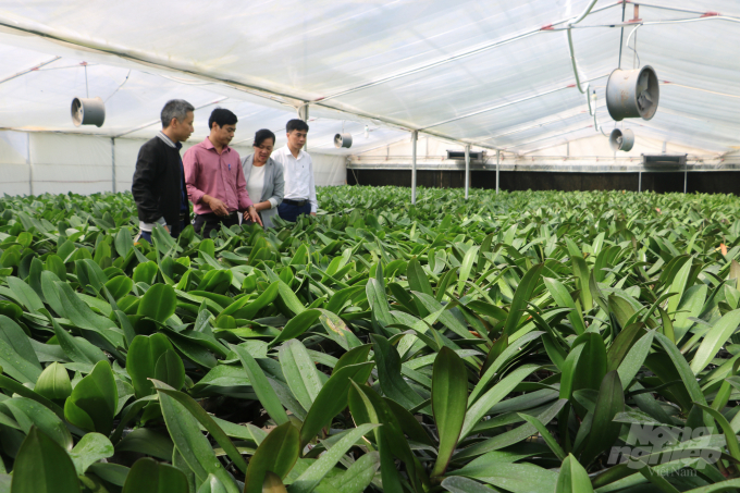 Bắc Ninh hướng tới một nền nông nghiệp công nghệ cao theo hướng bền vững. Ảnh: HG.