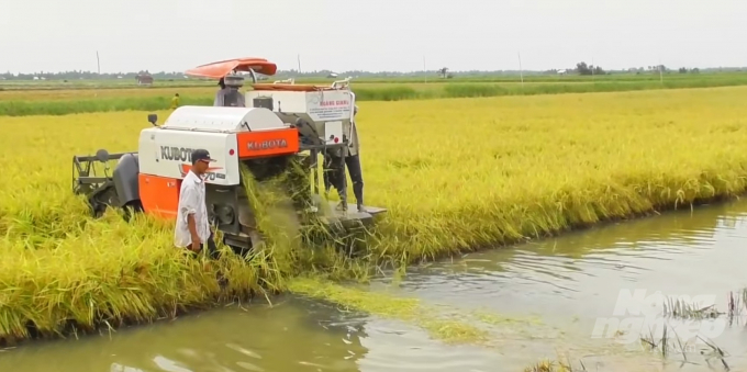 Mô hình sản xuất tôm - lúa hữu cơ, vừa mang lại hiệu quả kinh tế cao, vừa thân thiên với môi trường. Ảnh: Trọng Linh.