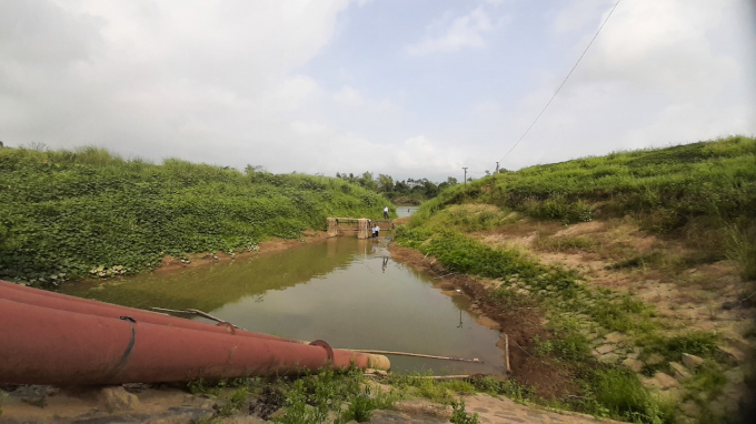 Đập ngăn dòng bị hư hỏng, thủy điện lại xả nước lưu lượng thấp khiến cho các trạm bơm không có nước để bơm tưới cho những diện tích lúa khô hạn. Ảnh: L.K.