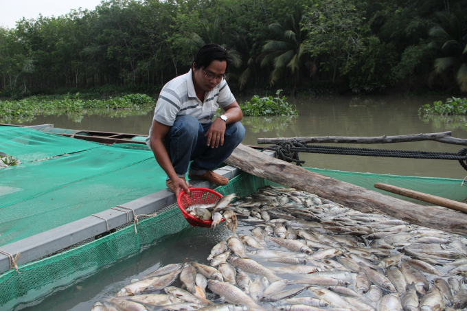 Hiện tượng cá chết từng xẩy ra sau mưa tại sông La Ngà và sông Sài Gòn vừa qua. Ảnh: TL