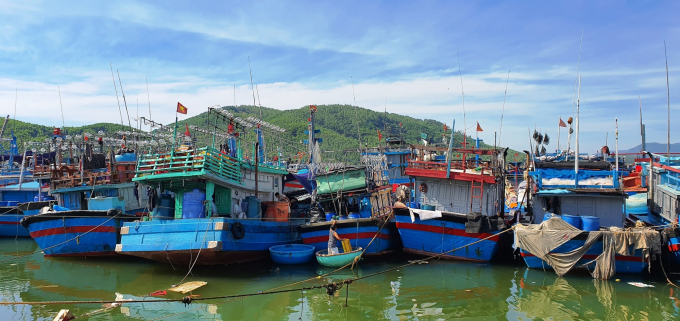 Tỉnh Quảng Ngãi có đội tàu khai thác thủy sản rất lớn với hơn 5.000 chiếc. Ảnh: L.K.