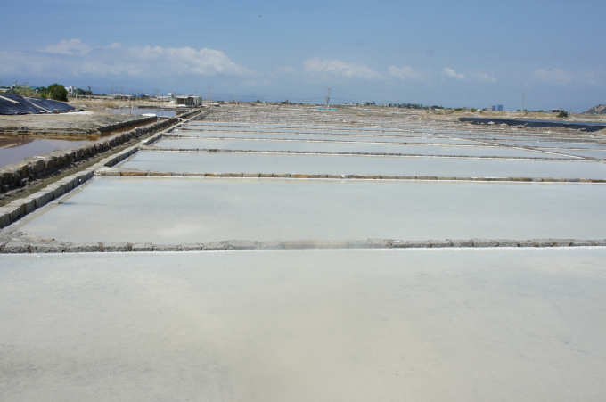 Các ô sản xuất muối của diêm dân Ninh Thuận nhỏ lẻ khiến chất lượng muối không cao.