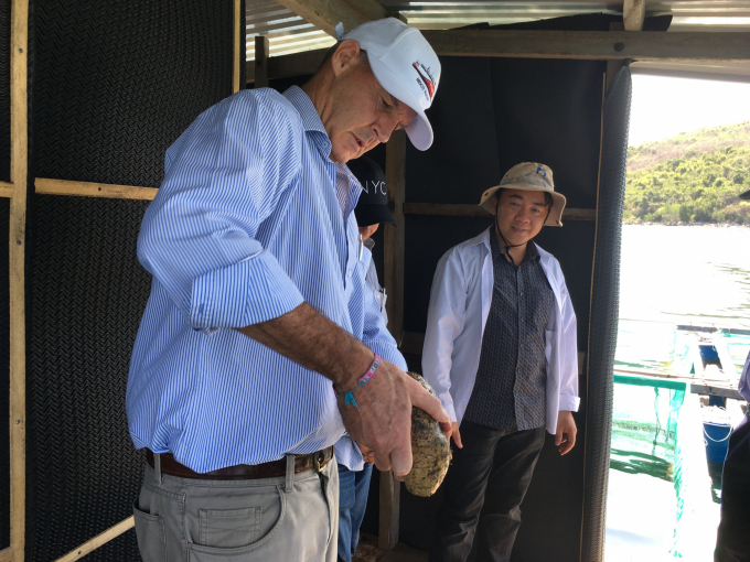 Ông Andrew Barnes, Phó Đại sứ quán Úc tại Việt Nam tham quan mô hình nuôi hải sâm vú trắng trên vịnh Vân Phong, Vạn Ninh. Ảnh: MH.