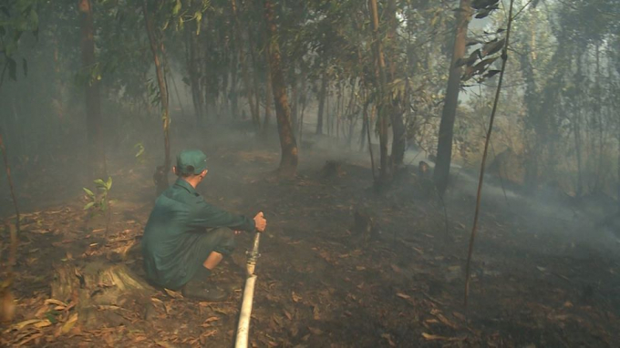 Nguy cơ cháy rừng tại An Giang đang ở mức cực kỳ nguy hiểm. Ảnh: Hương Huệ.