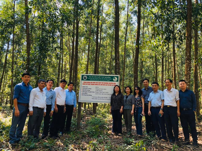 Lãnh đạo Bộ NN-PTNT thăm các mô hình giống lâm nghiệp ứng dụng tiến bộ khoa học công nghệ của Viện Khoa học Lâm nghiệp Việt Nam. Ảnh: Iftib.