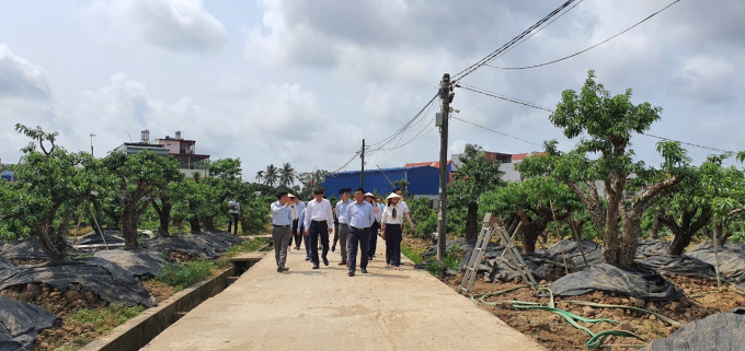 Đoàn công tác của Bộ NN-PTNT thẩm định xây dựng nông thôn mới tại huyện An Dương.  Ảnh: Đinh Mười