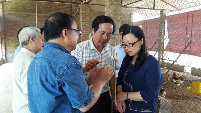Học viện Nông nghiệp Việt Nam đã có những nghiên cứu đầu tiên về áp dụng genenomic selection bằng kỹ thuật phân tích SNP trong nghiên cứu gà gà bản địa. Ảnh: VNUA.