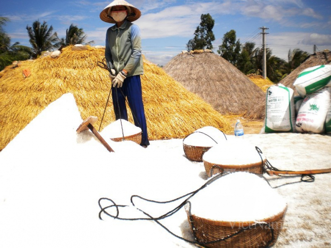 Diện tích sản xuất muối trên địa bàn Khánh Hòa là 1.042 ha, sản lượng 92.978 tấn/năm. Ảnh: Vũ Đình Thung.