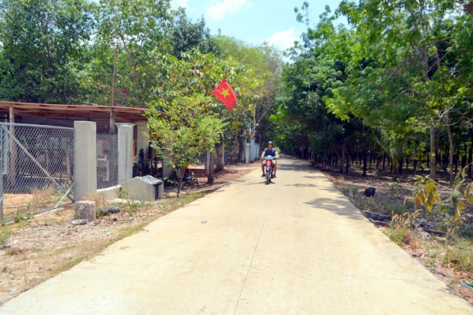 Hầu hết các tuyến đường nông thôn tại xã Tân Lập được bê tông hóa thuận tiện đi lại, vận chuyển hàng hóa. Ảnh: Trần Trung.