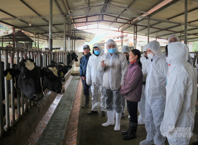 Thứ trưởng Phùng Đức Tiến dẫn đầu đoàn công tác của Bộ NN-PTNT đi kiểm tra công tác phòng chống dịch bệnh trên gia súc tại Sơn La. Ảnh: Phạm Hiếu.