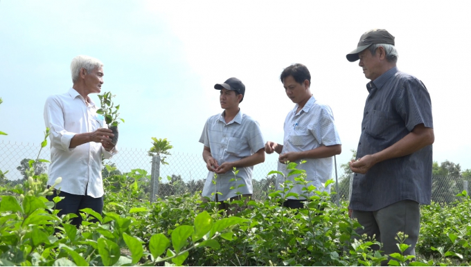 Anh Trần Minh Tường (thứ 2 từ trái sang) chia sẻ kinh nghiệm trồng hoa lài với bà con nông dân. Ảnh: Thiên Thanh. 