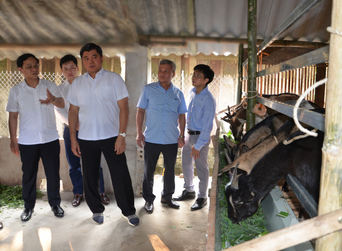 Thứ trưởng Trần Thanh Nam tham quan mô hình nuôi dê hữu cơ tại xã Thổ Bình, huyện Lâm Bình. Ảnh: Đào Thanh.