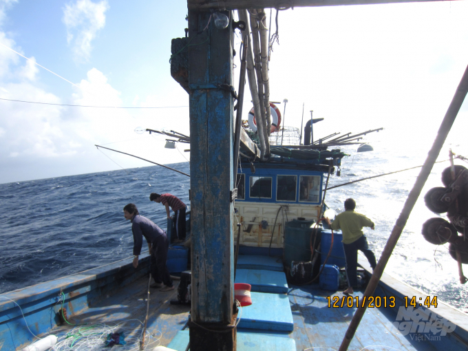 Tàu chuyên câu cá ngừ đại dương của ngư dân Bình Định. Ảnh: Vũ Đình Thung.