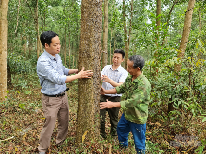 Không chỉ trồng rừng giỏi, ông Thắng còn tích cực chia sẻ bí quyết, kinh nghiệm và hiệu quả kinh tế của rừng cho các hộ dân trong thôn, trong xã. Ảnh: Đào Thanh.