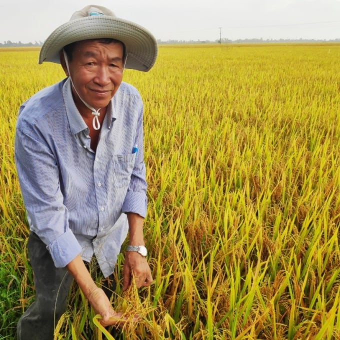 Ông Huỳnh Trung Thụ bên ruộng lúa sử dụng chế phẩm EMUNIV xử lí rơm rạ trước khi gieo cấy. Ảnh: Thế Tấn.