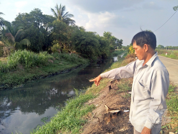 Người dân trồng lúa hai bên bờ kênh Gò Kén sống chung với ô nhiễm. Ảnh: Trần Trung.