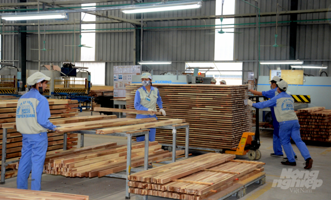 Hiện nay đã có 8 công ty, tập đoàn lớn đầu tư vào sản xuất, chế biến gỗ tại Tuyên Quang. Ảnh: Đào Thanh.