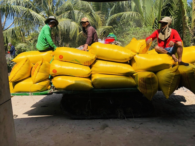 Lực lượng lao động nông thôn đang thiếu trầm trọng. Ảnh: Lê Hoàng Vũ.