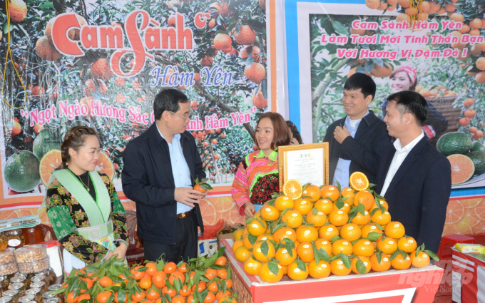 Phát triển nông nghiệp tốt và tăng cường quảng bá giới thiệu sản phẩm nhằm nâng cao giá trị của cây cam là giải pháp được huyện Hàm Yên và ngành NN-PTNT tỉnh Tuyên Quang đưa ra. Ảnh: Đào Thanh.