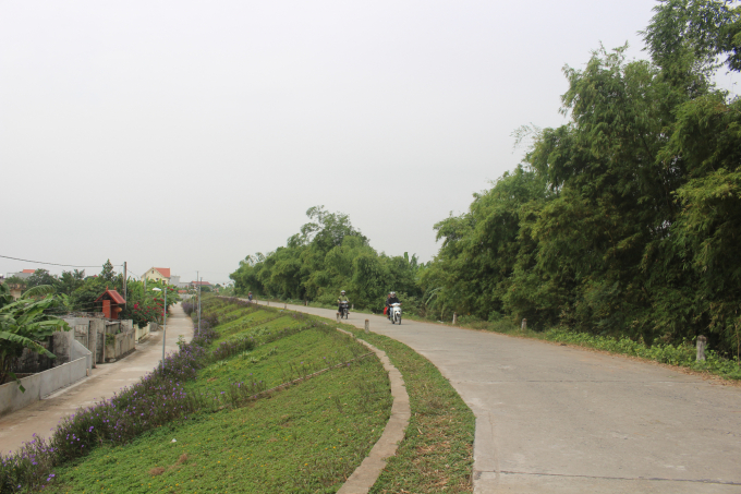 Tỉnh Nam Định đã xây dựng được khoảng 20km đê kiểu mẫu. Ảnh: Mai Chiến.