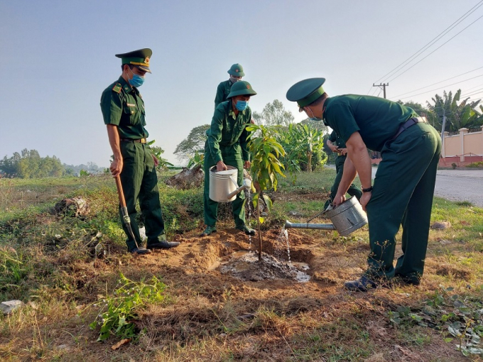 Từ năm 2021 - 2025, tỉnh An Giang đặt mục tiêu trồng trên 5,2 triệu cây phân tán trên diện tích hơn 5.000ha. Ảnh: Chiến Khu.