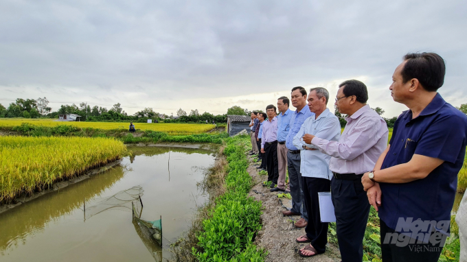 Các đồng chí lãnh đạo tỉnh Bạc Liêu cùng đoàn công tác kiểm tra mô hình tôm lúa tại huyện Phước Long. Ảnh: Trọng Linh.