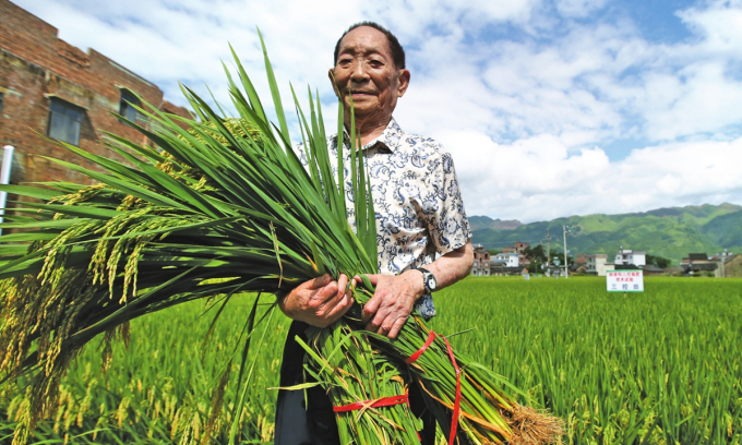 Thế giới đã mất đi một trong những nhà khoa học nông nghiệp vĩ đại nhất- giáo sư- viện sĩ Viên Long Bình. Ảnh: Xinhua 