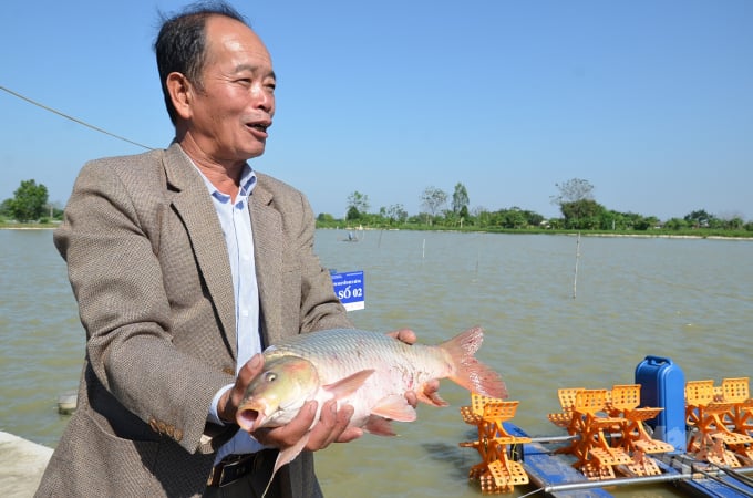 Sản phẩm cá của huyện Ứng Hòa. Ảnh: NNVN.