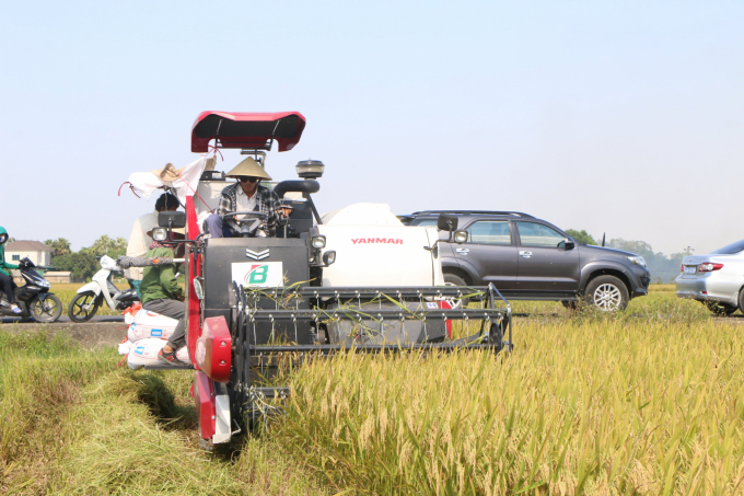 Nông dân Hà Tĩnh tập trung đẩy nhanh tiến độ thu hoạch lúa xuân, song song công tác chuẩn bị sẵn sàng triển khai vụ hè thu 2021. Ảnh: TN.