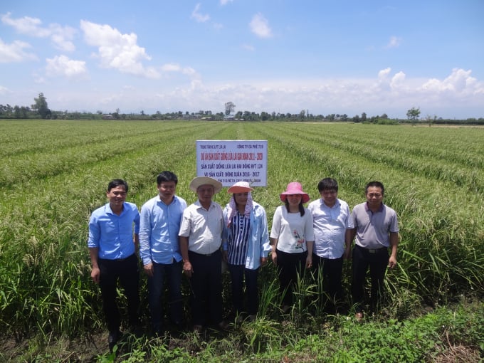F1 hybrid rice seed production site