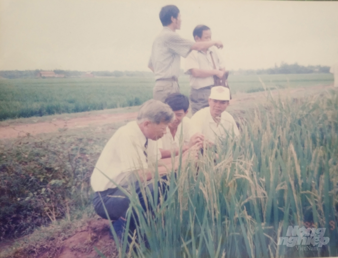 Bộ trưởng Nguyễn Công Tạn (người đầu tiên bên trái) thăm lúa lai ở Hà Tây cũ. Ảnh: Tư liệu.