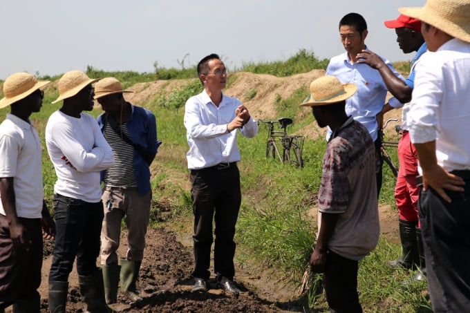 Một chuyên gia Trung Quốc hướng dẫn các kỹ thuật viên nông nghiệp người Burundi sản xuất lúa tại làng Ninga, tỉnh Bubanza. Ảnh: Xinhua.