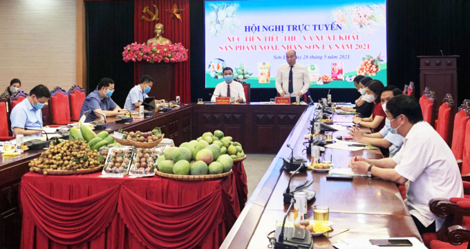 Son La provincial People's Committee is preparing solutions for the coming fruit season in 2021 . Photo: Thu Thuy. 