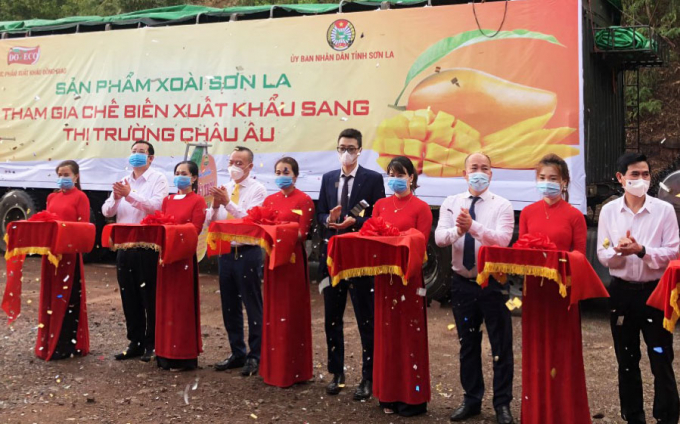 MoIT's representative, Son La People's Committee and enterprises  cut the ribbons to hand over Son La mango according to the agreement with processors, suppliers, exporters and e-commerce platforms in 2021. Photo: Thu Thuy.