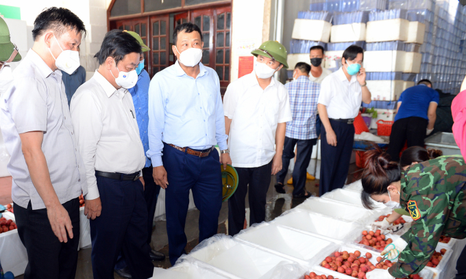 Bộ trưởng Lê Minh Hoan dẫn đầu đoàn lãnh đạo ngành nông nghiệp kiểm tra quy trình đóng hộp vải thiều sau khi thu hoạch.