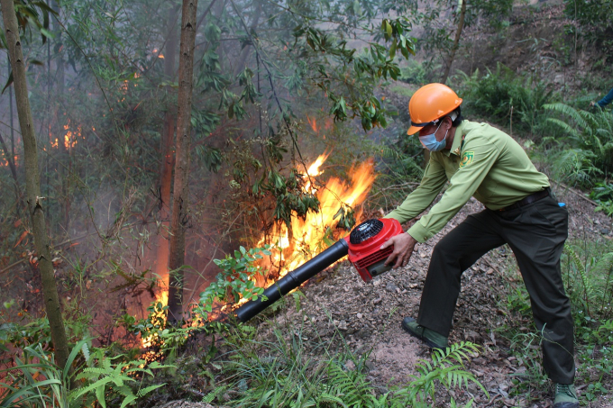 Lực lượng Kiểm lâm tham gia dập lửa cứu rừng.Ảnh: DĐT.