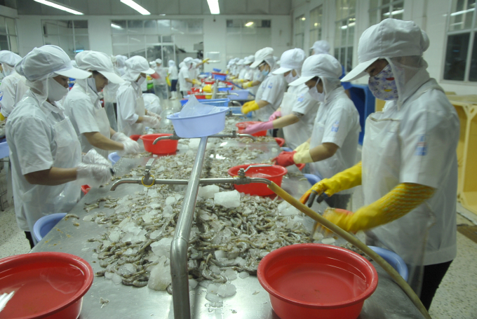 Trong những năm qua Bình Định thu hút mạnh đầu tư vào lĩnh vực chế biến thủy sản. Ảnh: Vũ Đình Thung.